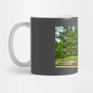 Old House in Florida Mug